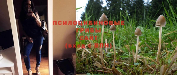 кокаин Вяземский